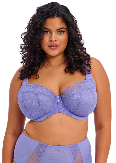 ELOMI - BRIANNA PADDED HALF CUP IN JACARANDA