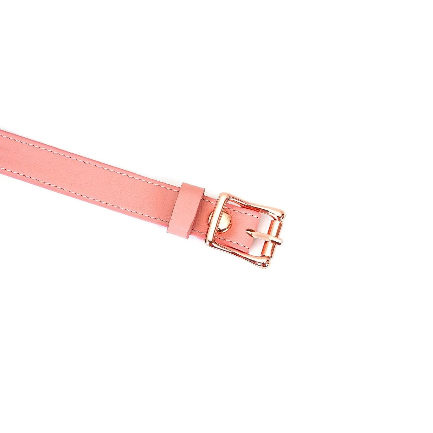 ANON SECRETS - Pink Dream LEATHER BALL GAG