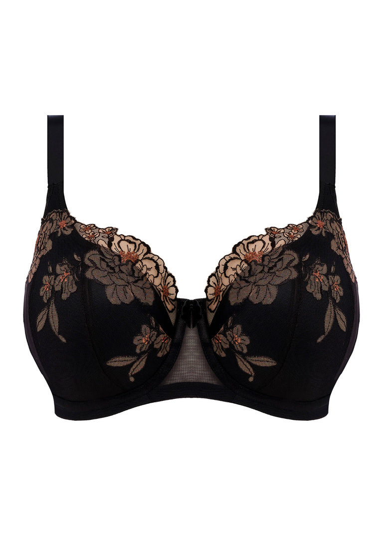 ELOMI - TEAGAN PADDED HALF CUP IN BLACK AND ALMOND