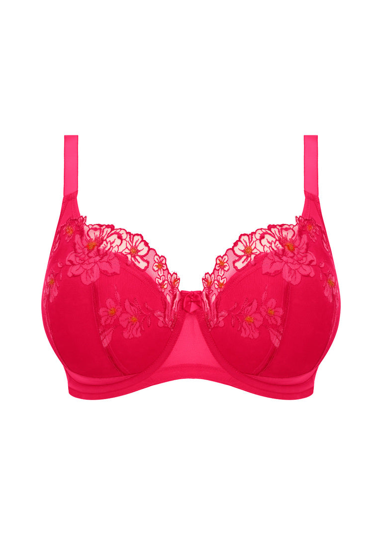 ELOMI - TEAGAN PADDED HALF CUP IN Azalea