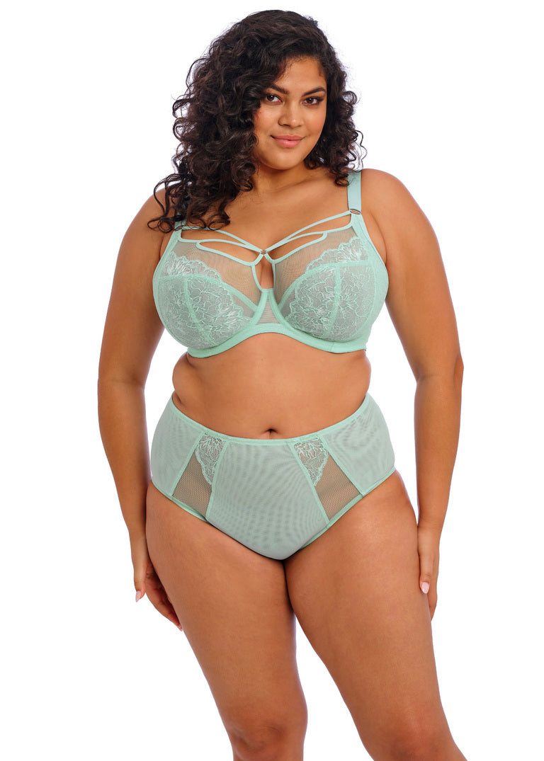 ELOMI - BRIANNA Full Brief In Frozen
