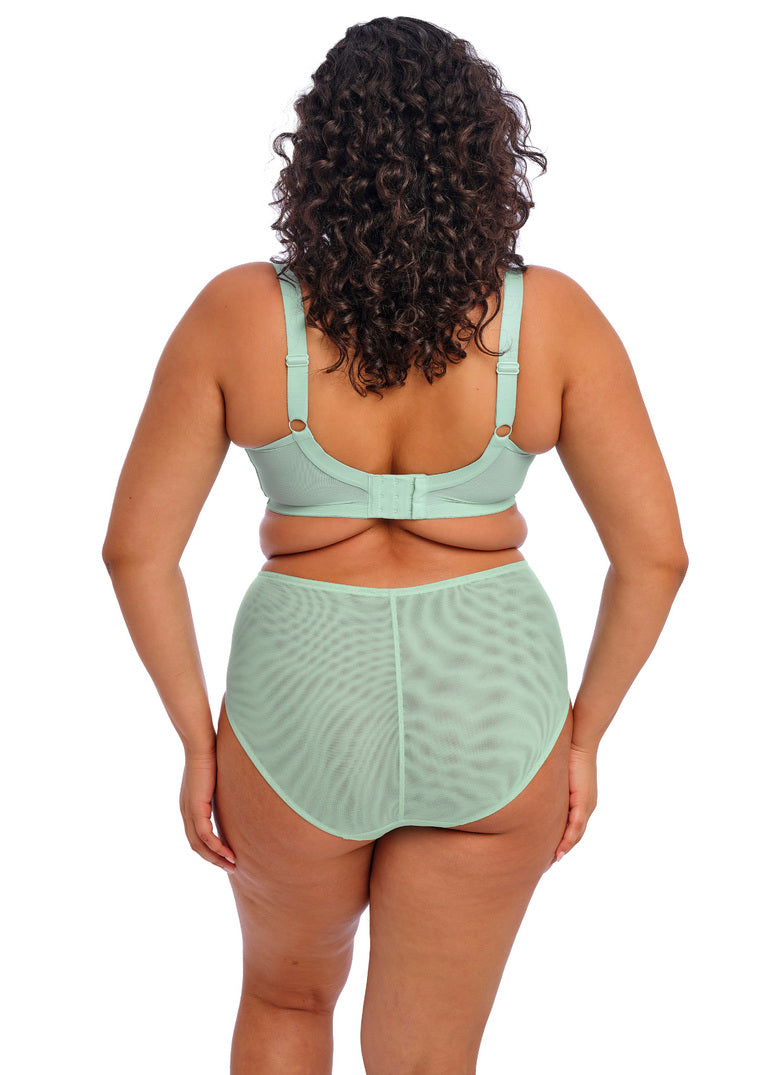 ELOMI - BRIANNA Full Brief In Frozen