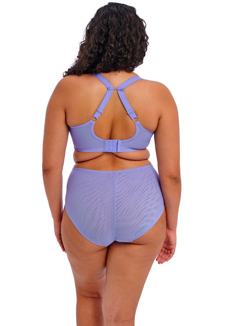 ELOMI - BRIANNA PADDED HALF CUP IN JACARANDA