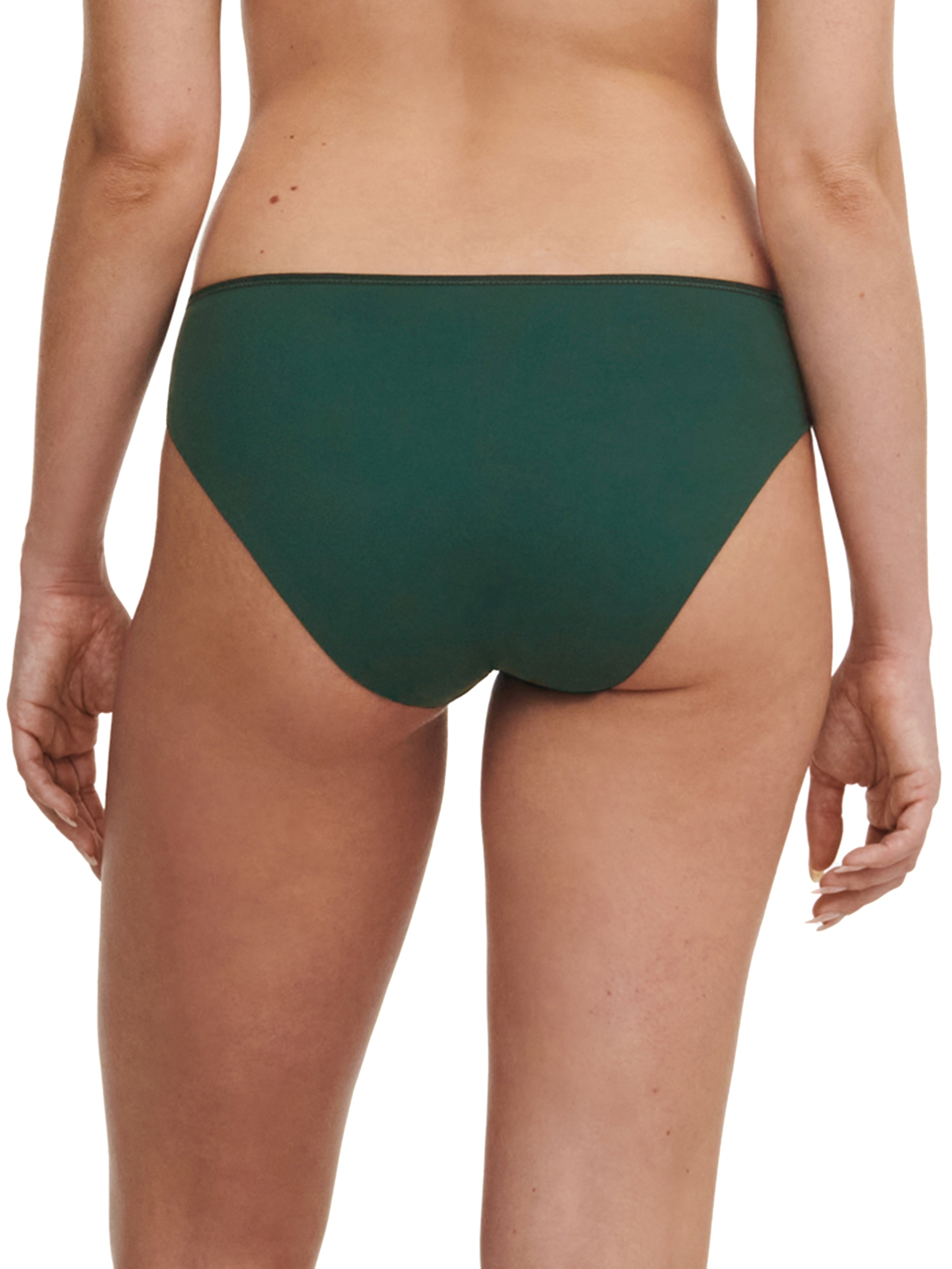 Chantelle - Graphic Support Brief in Green