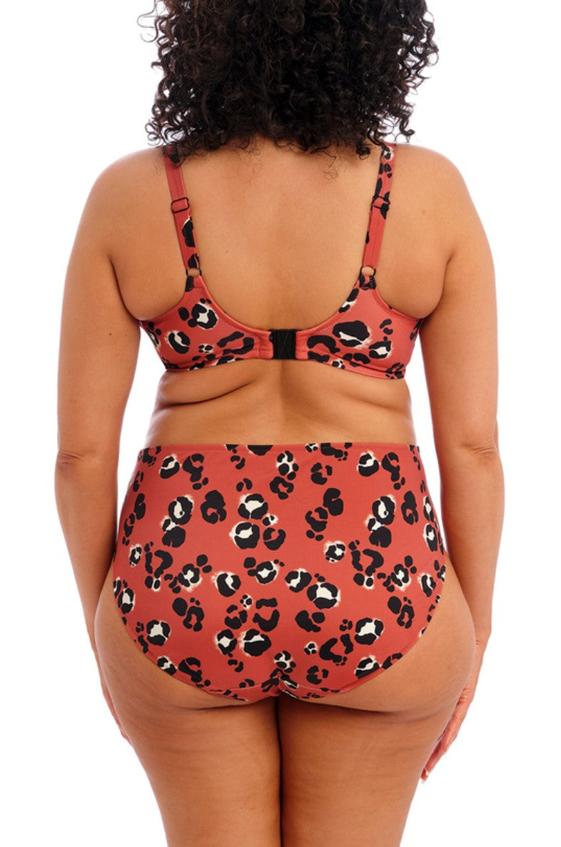 ELOMI - KOTIYA PLUNGE BIKINI TOP IN TERACOTTA