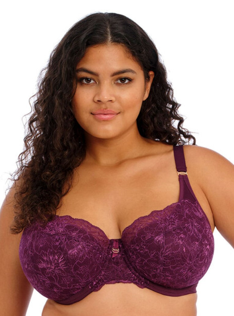 ELOMI - BRIANNA HALF CUP BRA IN BLACKBERRY