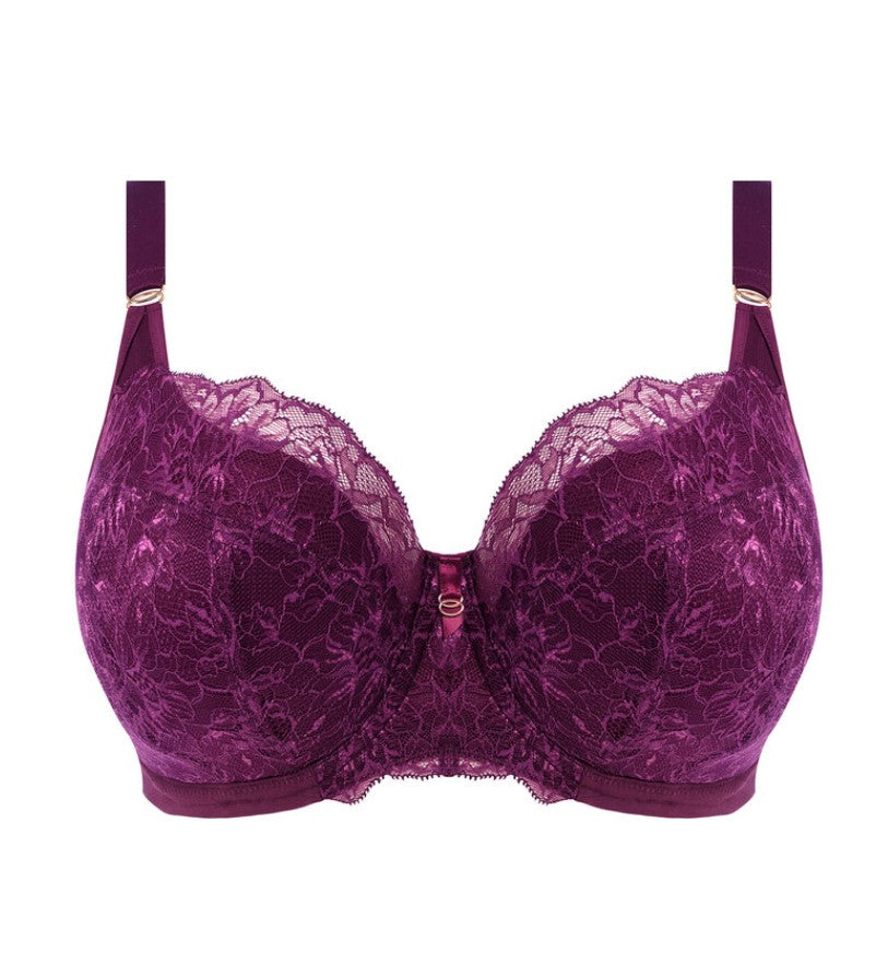 ELOMI - BRIANNA HALF CUP BRA IN BLACKBERRY