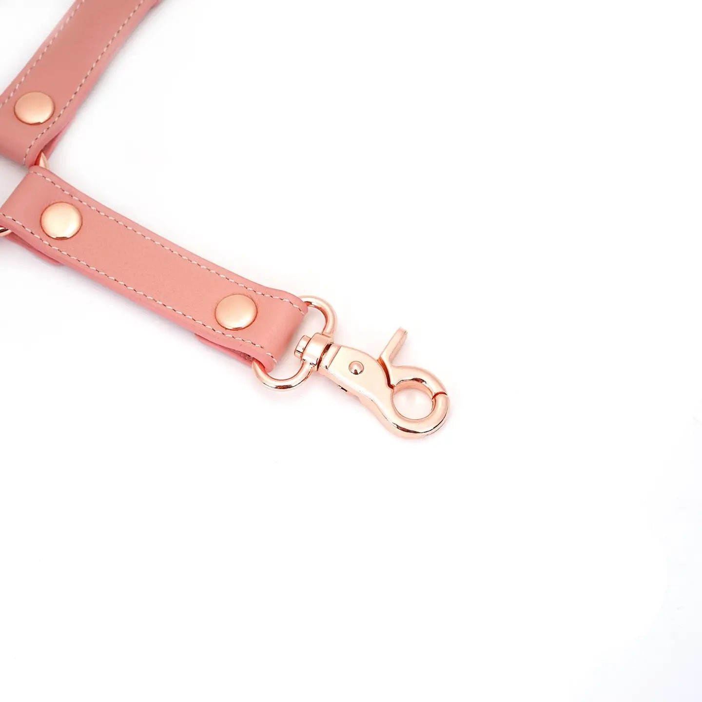 ANON SECRETS - Pink Dream Leather Hogtie