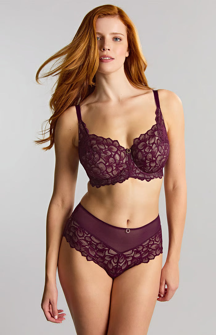 PANACHE - ALLURE DEEP BRIEF IN plum