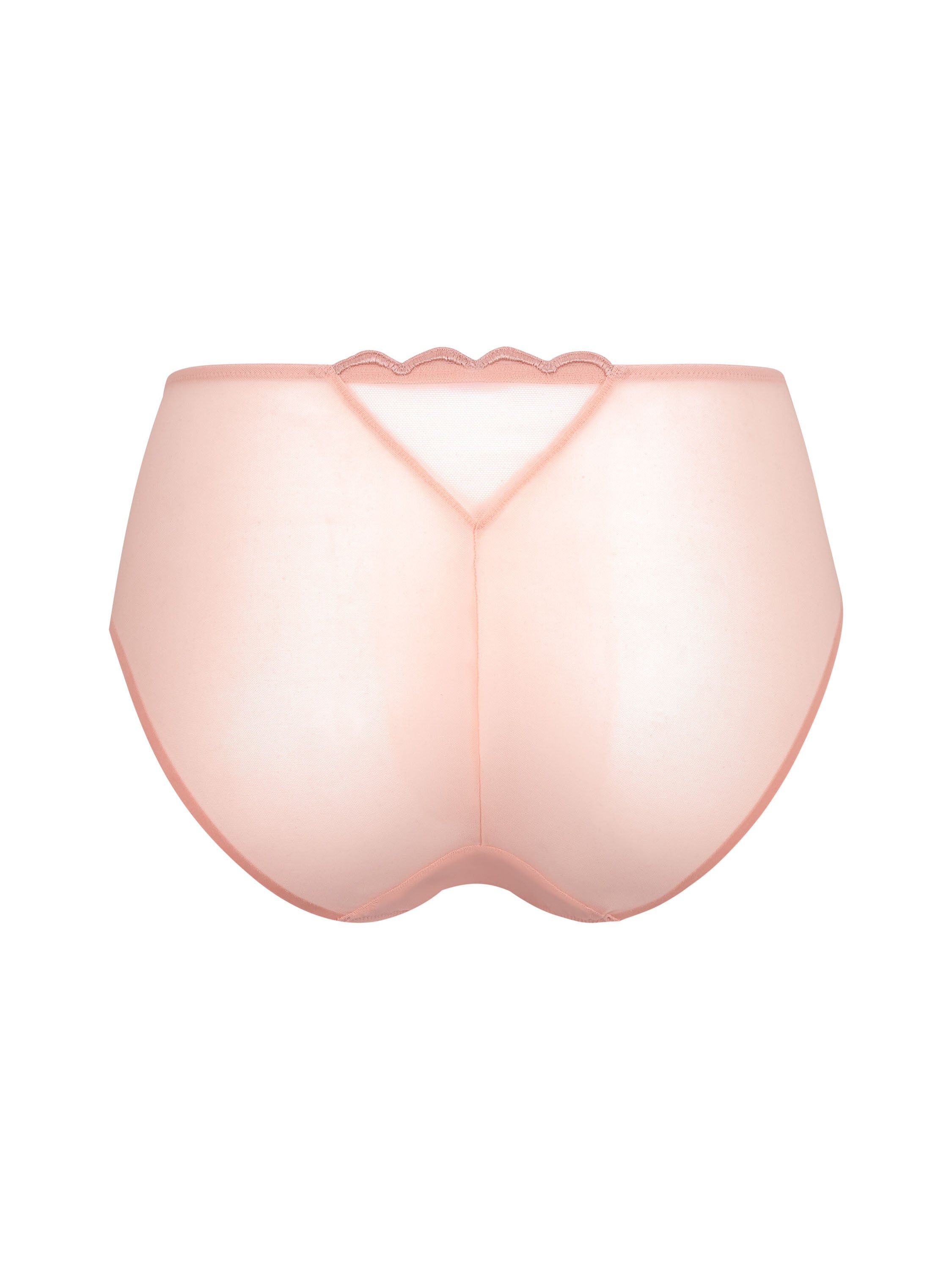 GOSSARD - Obsession Deep brief in Blush
