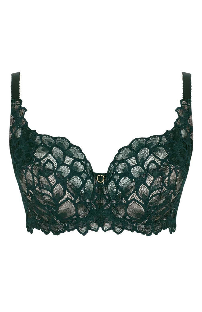 PANACHE - ALLURE FULL CUP BRA IN forest green