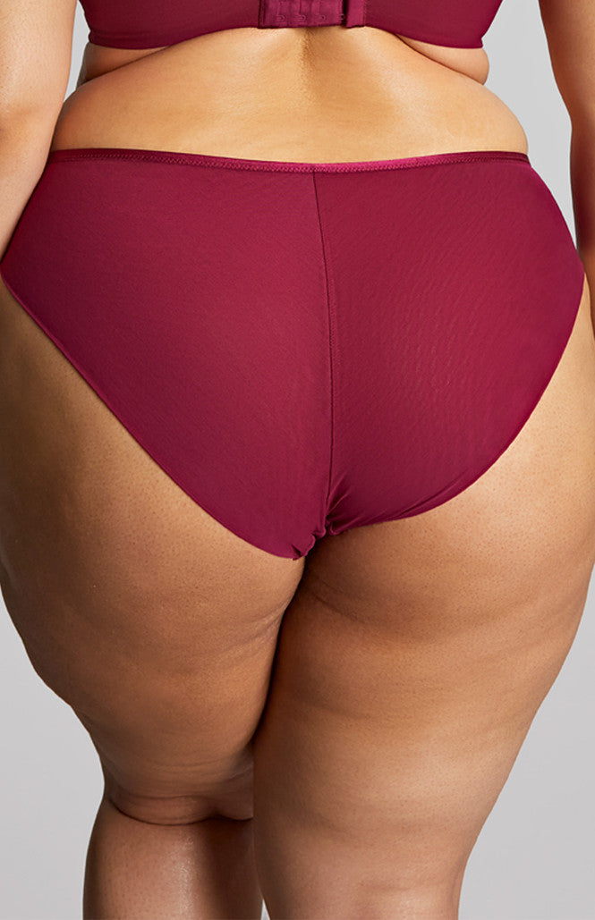 SCULPTRESSE - Natalia High Leg Brief in Bordeaux Red