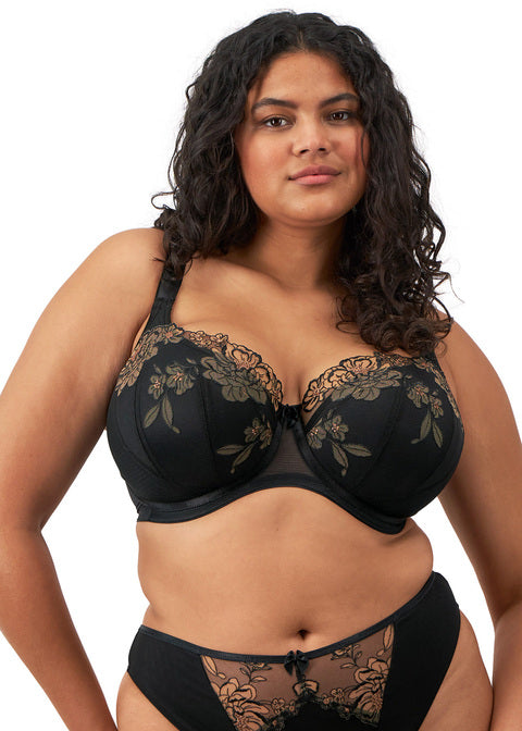 ELOMI - TEAGAN PADDED HALF CUP IN BLACK AND ALMOND