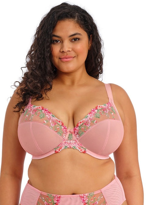 ELOMI - Aerith Plunge Bra in Rose