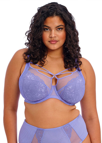 ELOMI - BRIANNA PLUNGE BRA IN JACARANDA