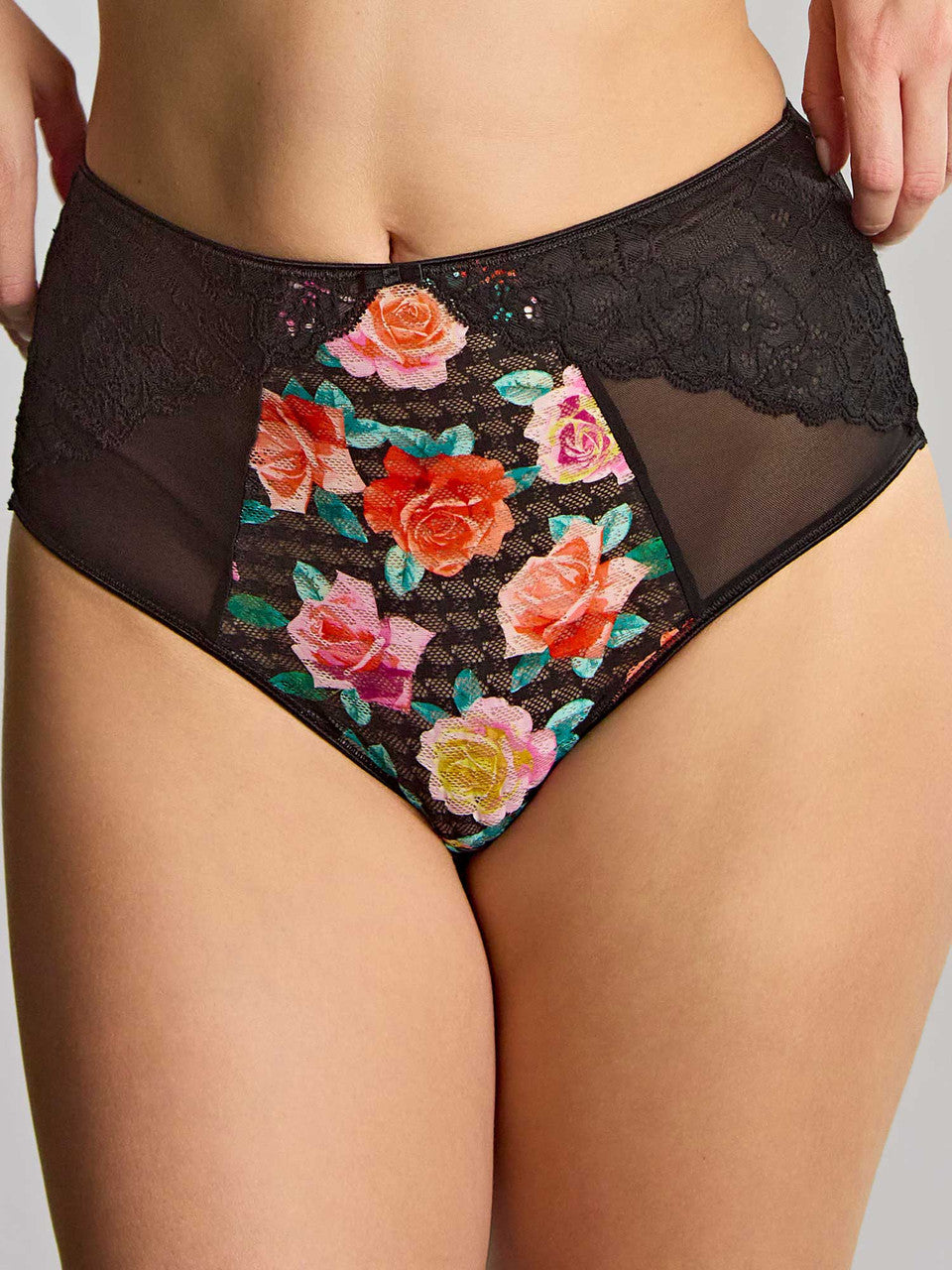 PANACHE - Envy deep brief in Black Rose