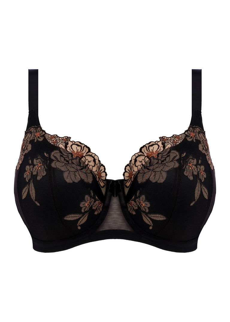 ELOMI - TEAGAN PADDED HALF CUP IN BLACK AND ALMOND