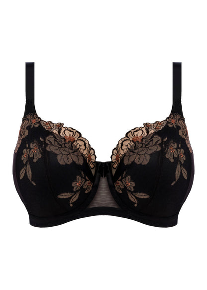 ELOMI - TEAGAN PADDED HALF CUP IN BLACK AND ALMOND