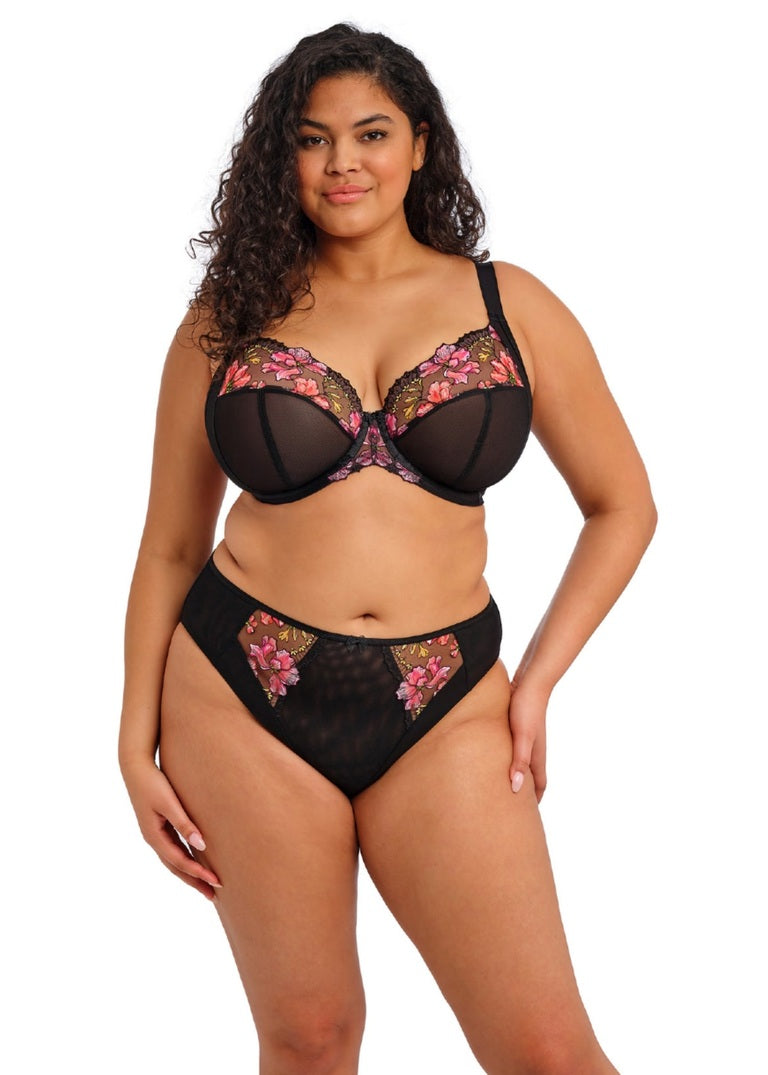 Elomi - Teagan High Leg Brief in rainbow