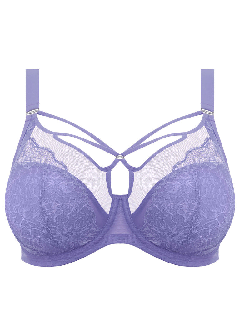 ELOMI - BRIANNA PLUNGE BRA IN JACARANDA