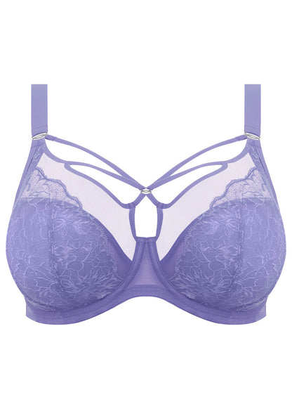 ELOMI - BRIANNA PLUNGE BRA IN JACARANDA