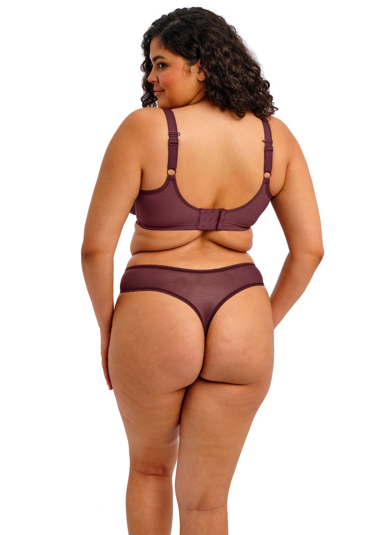 Elomi - Matilda thong in Sugarplum