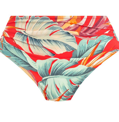 FANTASIE - BAMBOO GROVE FULL BIKINI BRIEF