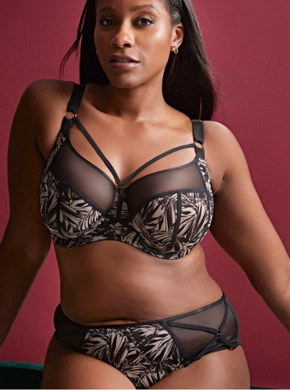 SCULPTRESSE - DIONNE FULL CUP BRA IN BLACK BUTTERFLY