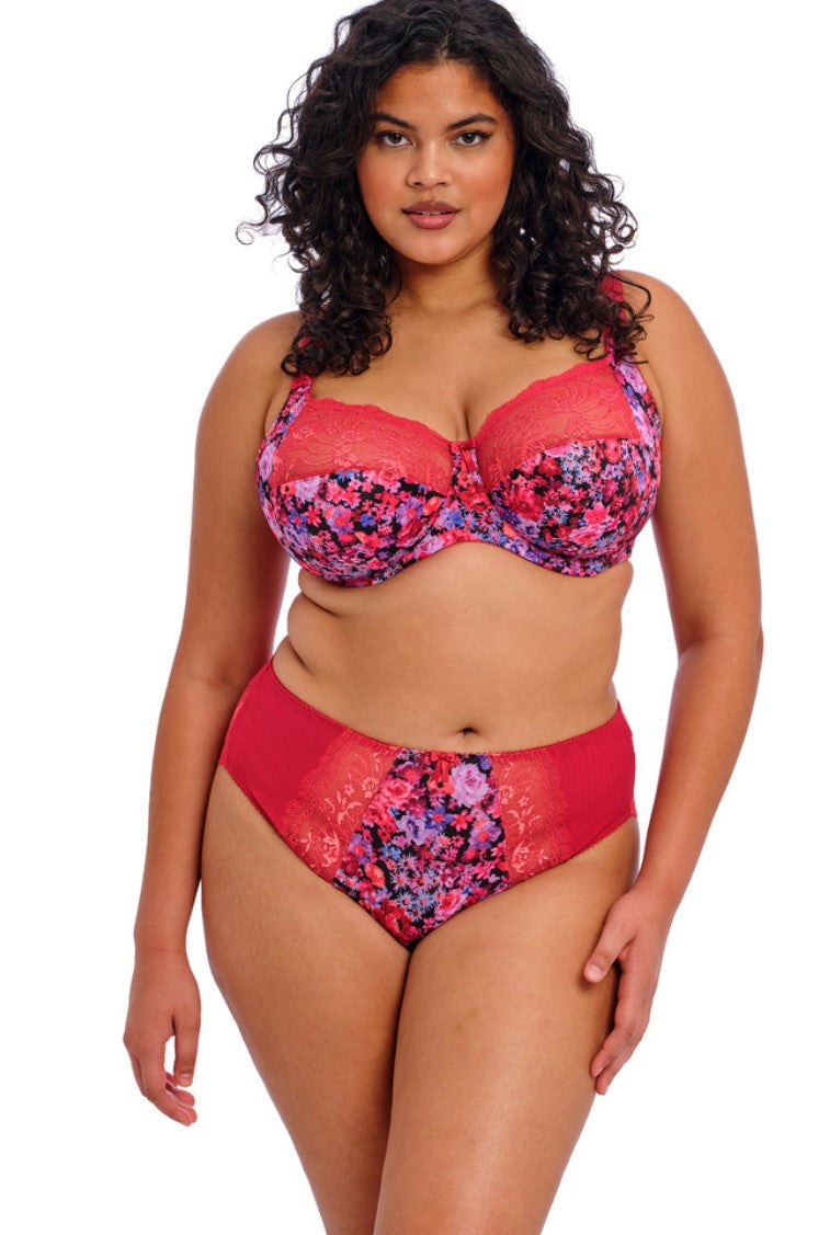 ELOMI - MORGAN BRIEF IN SUNSET MEADOW.