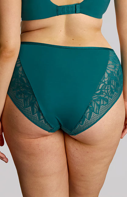 SCULPTRESSE - Sophia Deep Brief in Teal