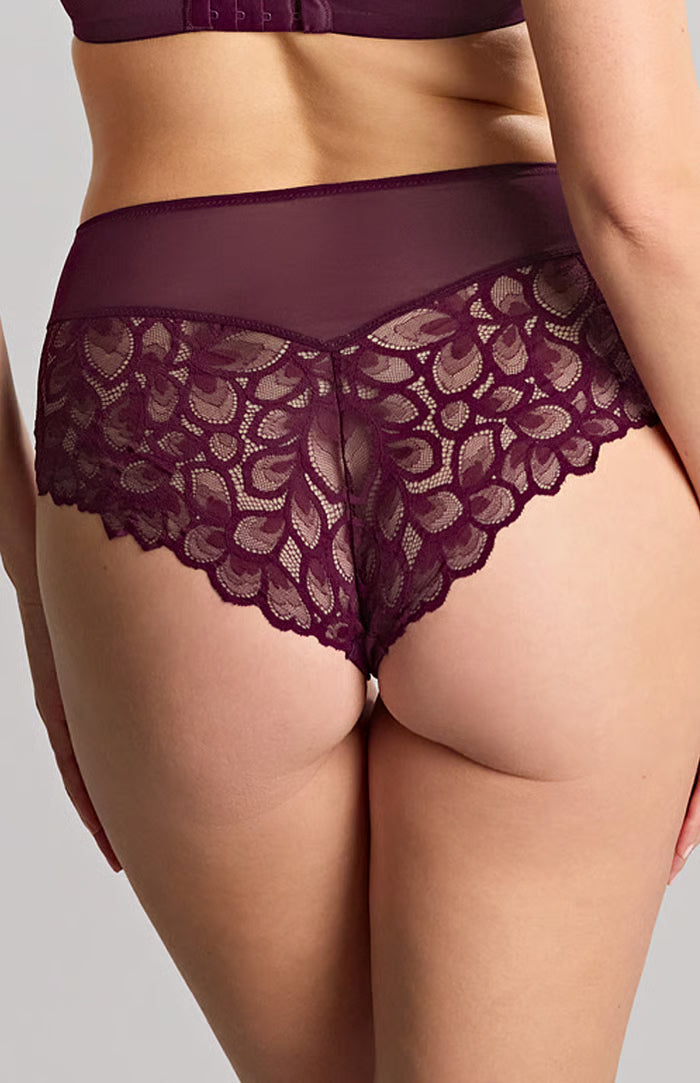 PANACHE - ALLURE DEEP BRIEF IN plum