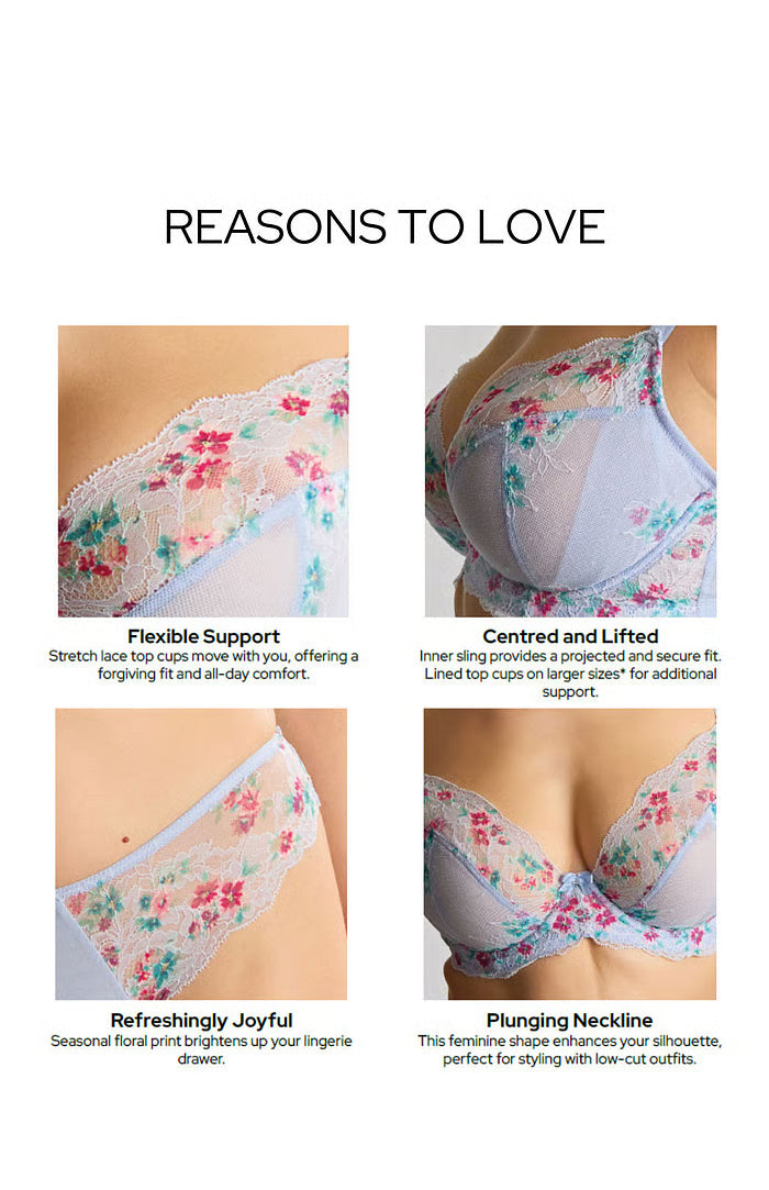 PANACHE - ANA PLUNGE BRA IN Cornflower