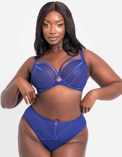 SCANTILLY - Senses Plunge Bra in UltraViolet Blue